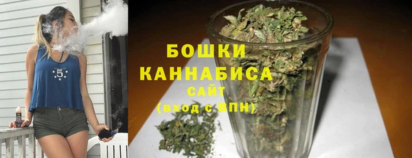 спайс Чита