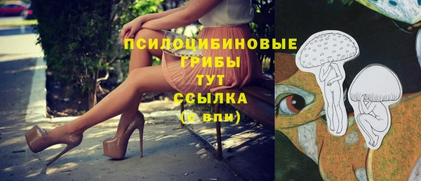 таблы Арсеньев
