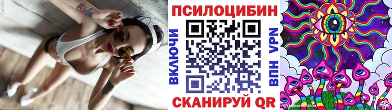 Псилоцибиновые грибы ЛСД  hydra ССЫЛКА  Бабушкин 